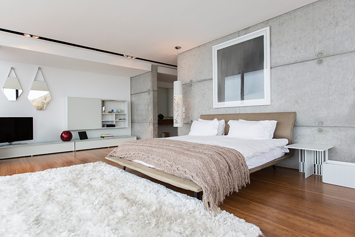 Bedroom with a shaggy rug